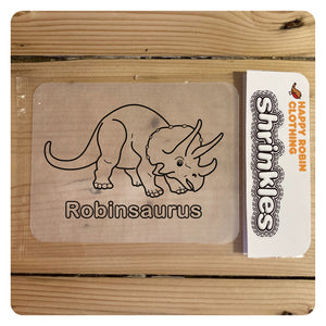 Pack of 5 Personalised Dinosaur shrinkles